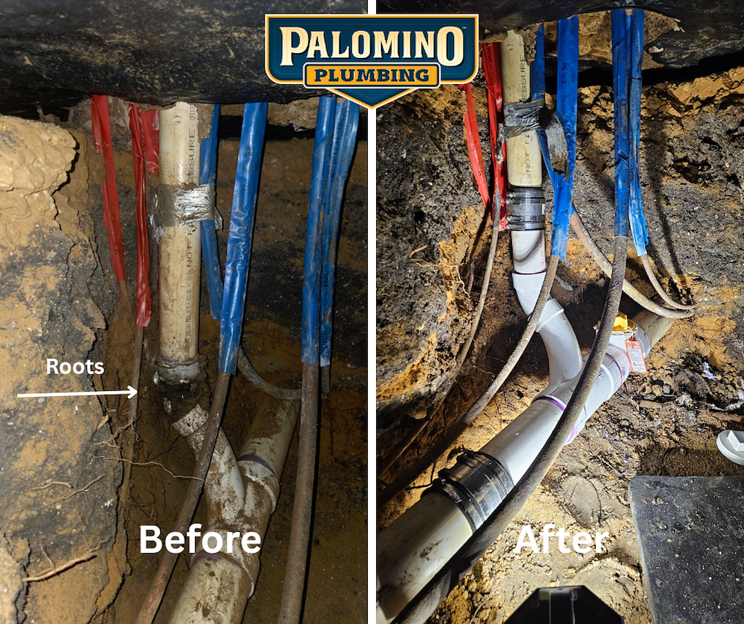 Top Quality Drain Repair in Plano, Tx