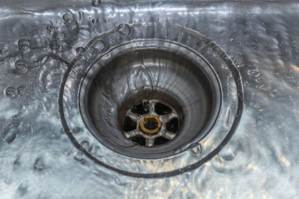 Why Do You Need Rooter Services For Your Drains?